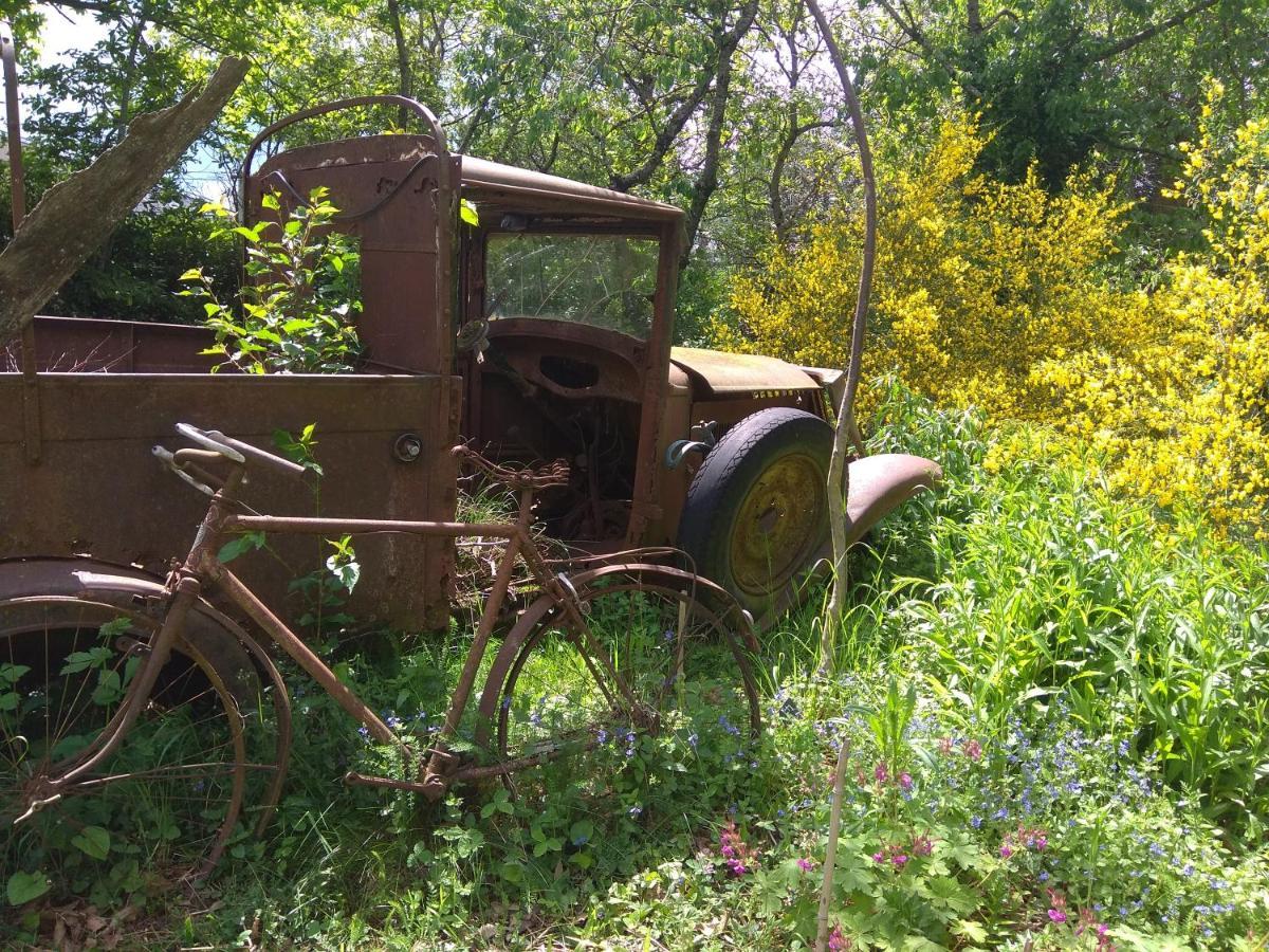 La Ferme Les Mamours La Bastide-l'Eveque Bagian luar foto